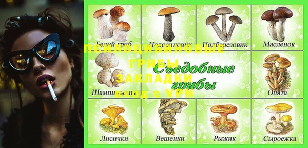 амфетамин Богданович