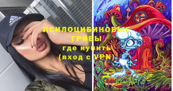 MDMA Premium VHQ Бронницы