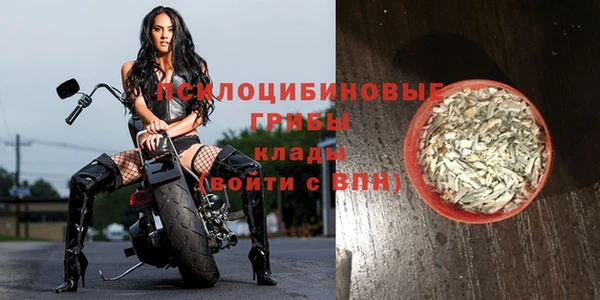 прущая мука Богородск