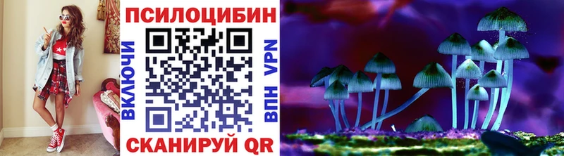 Галлюциногенные грибы Psilocybe  Чудово 